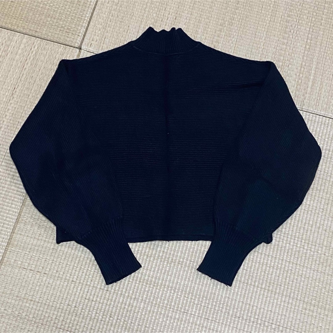 ZARA(ザラ)のZARA ショート丈 リブニットトップス レディースのトップス(ニット/セーター)の商品写真