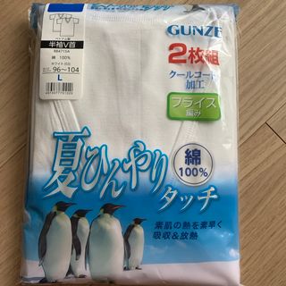 GUNZE - GUNZE 夏ひんやり　半袖VネックTシャツ