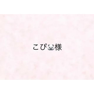 【こぴ🐻‍❄️様】(その他)