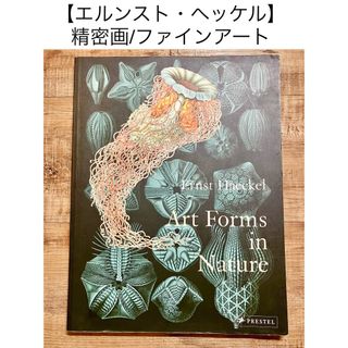 エルンスト・ヘッケル　生物の驚異的な形　細かい絵　精密画　洋書(アート/エンタメ)