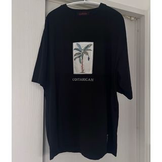 トゥモローランド(TOMORROWLAND)のcaban Tシャツ(Tシャツ(半袖/袖なし))