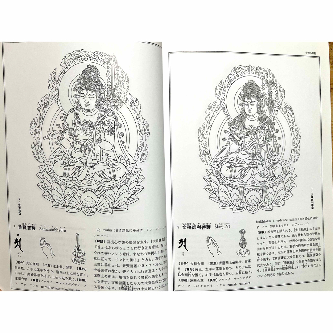 マンダラ図典　曼荼羅図典　細密な挿し絵が美しく、詳しい説明付き エンタメ/ホビーの本(語学/参考書)の商品写真