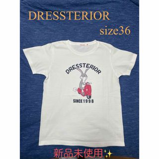 DRESSTERIOR - 【限定品❗️】【新品未使用✨】DRESSTERIORTシャツ