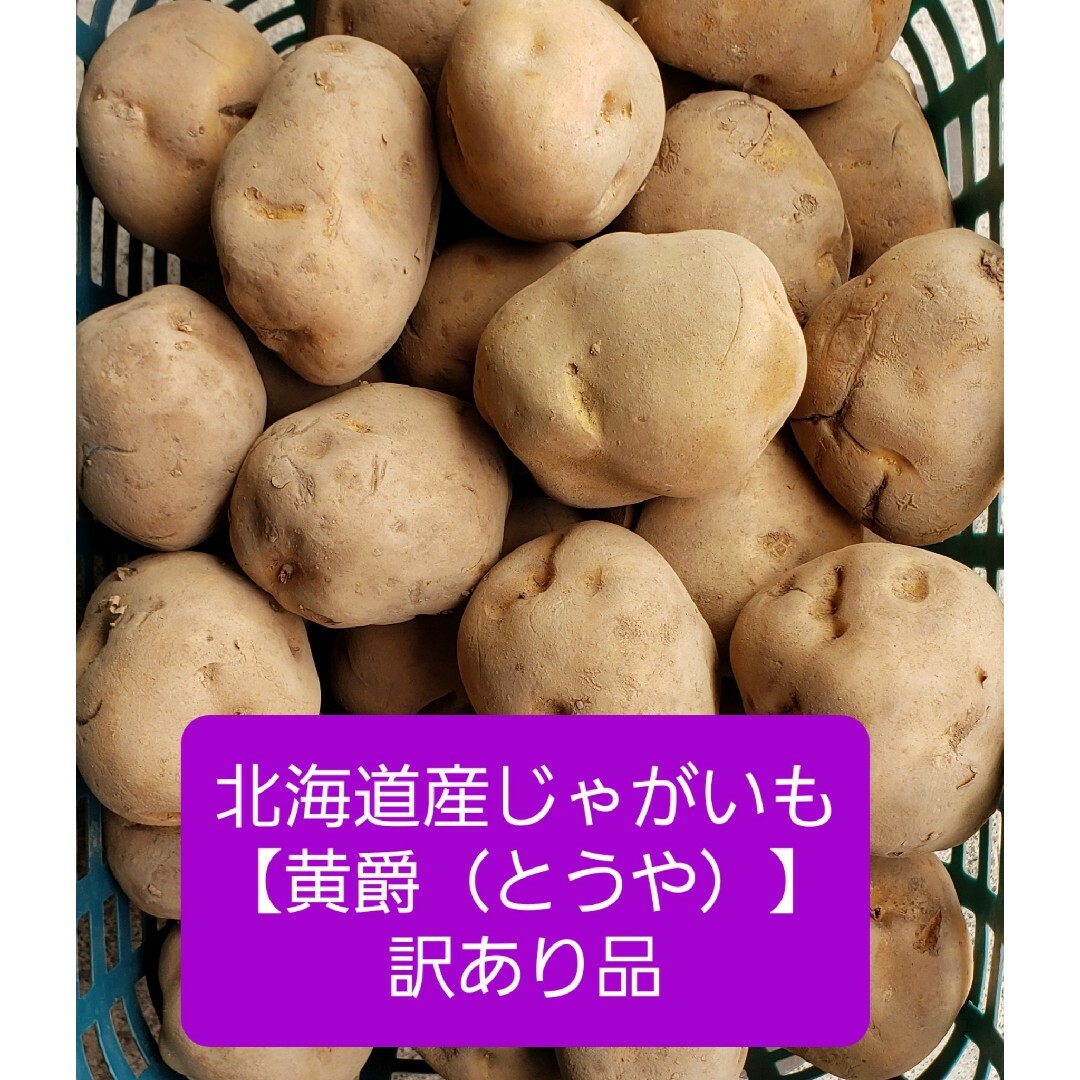 ◆北海道産 越冬じゃがいも【黄爵（とうや）】訳あり品 　約１０キロ 食品/飲料/酒の食品(野菜)の商品写真