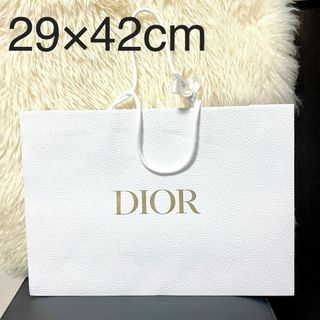 クリスチャンディオール(Christian Dior)のDIOR ディオール 紙袋 ショッパー ショップ袋 ブランド(ショップ袋)