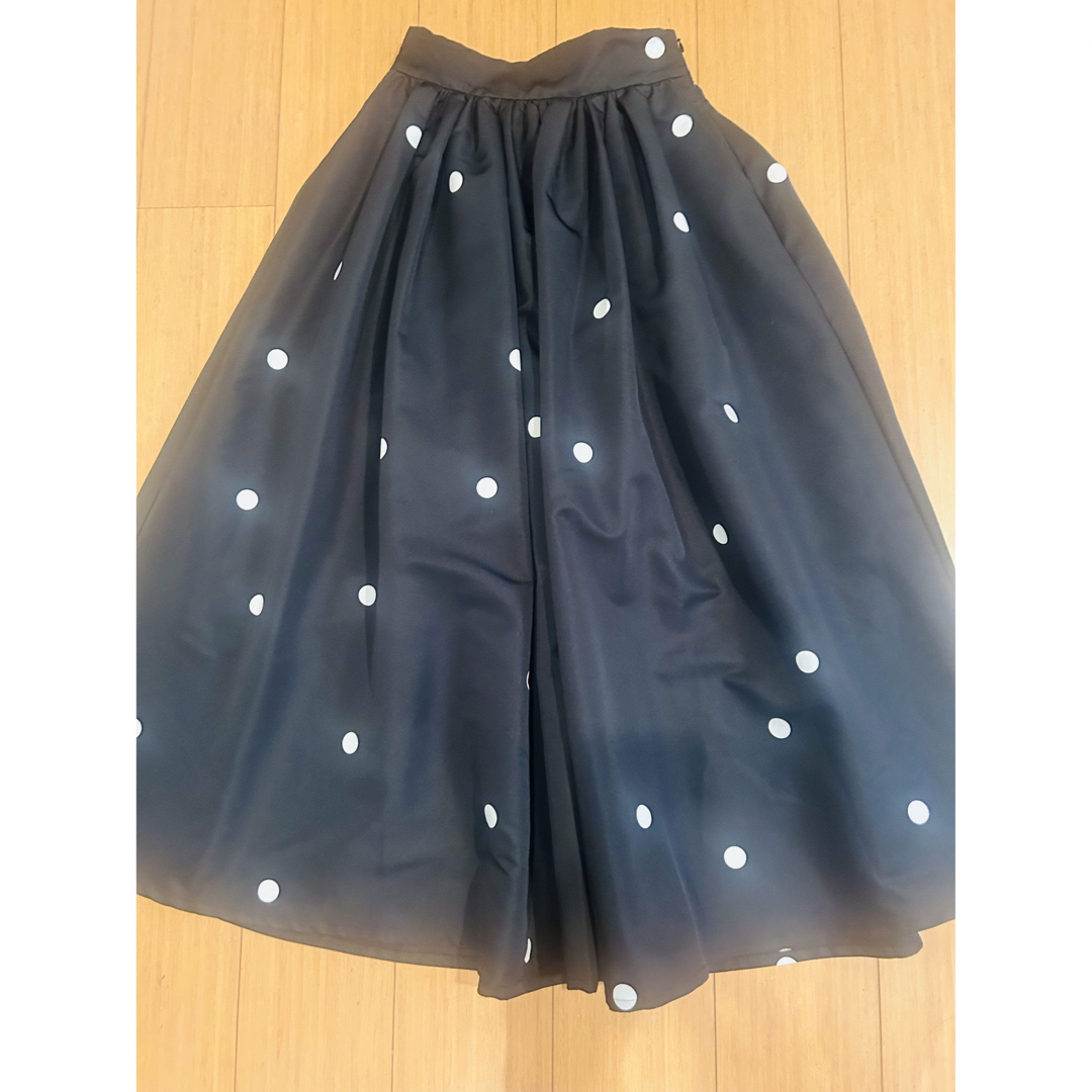 HIAND ドラマティックドットロングスカート レディースのスカート(ロングスカート)の商品写真