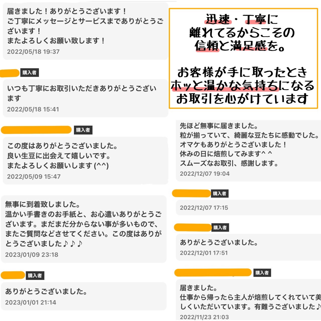 パプアニューギニア ワイルドハイランド 400g 自家焙煎 コーヒー豆 珈琲豆 スマホ/家電/カメラの調理家電(コーヒーメーカー)の商品写真