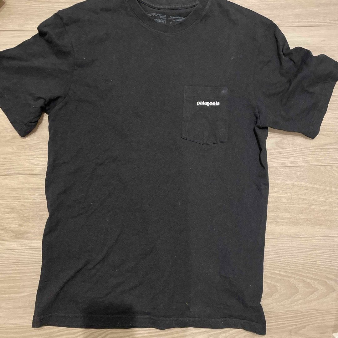 patagonia(パタゴニア)のパタゴニアのTシャツ メンズのトップス(Tシャツ/カットソー(半袖/袖なし))の商品写真