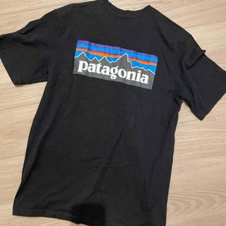 パタゴニア(patagonia)のパタゴニアのTシャツ(Tシャツ/カットソー(半袖/袖なし))