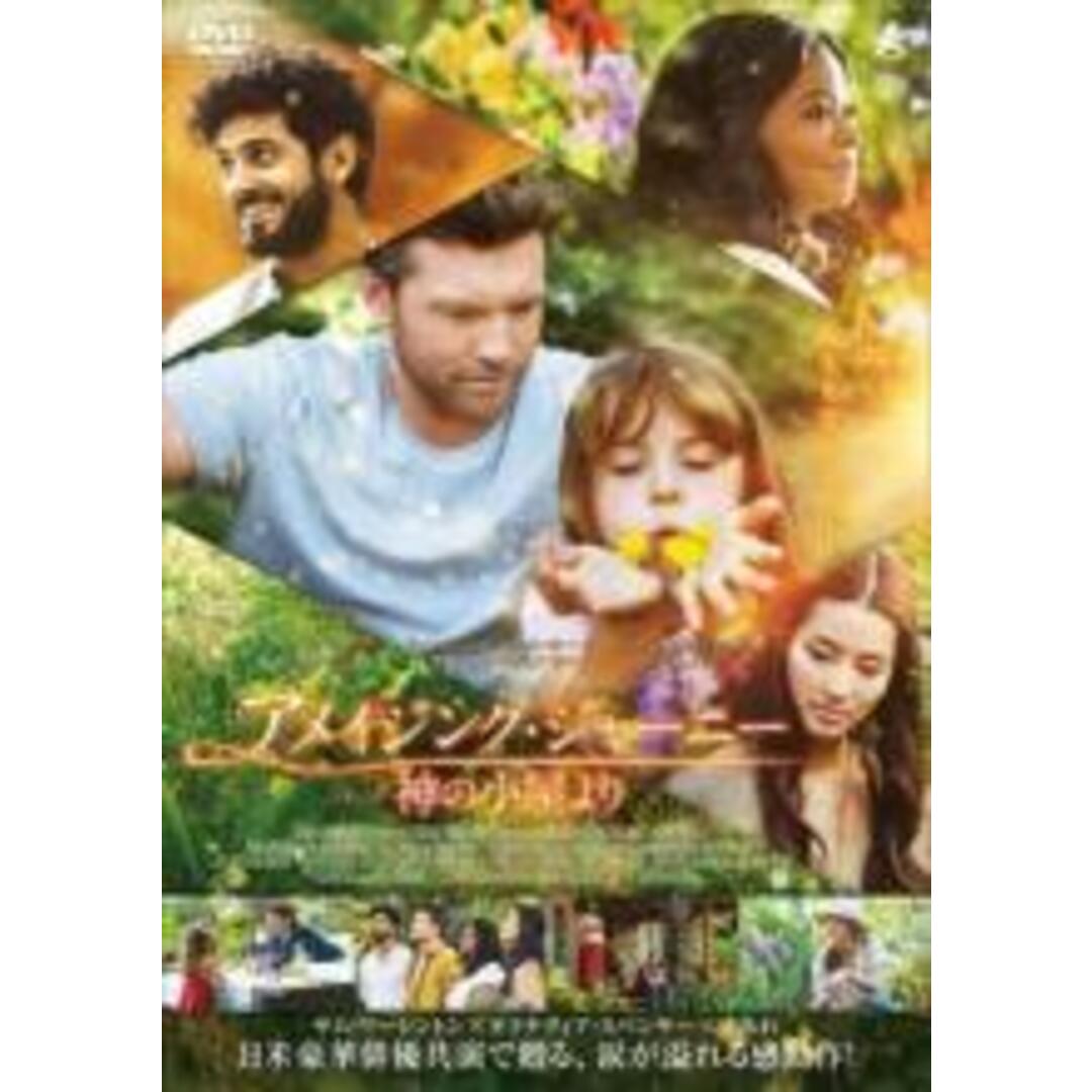 【中古】DVD▼アメイジング・ジャーニー 神の小屋より レンタル落ち エンタメ/ホビーのDVD/ブルーレイ(外国映画)の商品写真