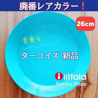 イッタラ(iittala)の【廃番レアカラー！】新品　イッタラ　ティーマ ターコイズ　26センチ(食器)