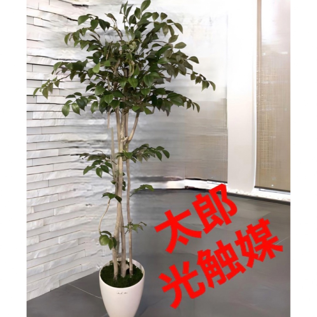 光触媒　人工観葉植物　ウォールグリーン　フェイクグリーン　マウンテンアッシュpw その他のその他(その他)の商品写真