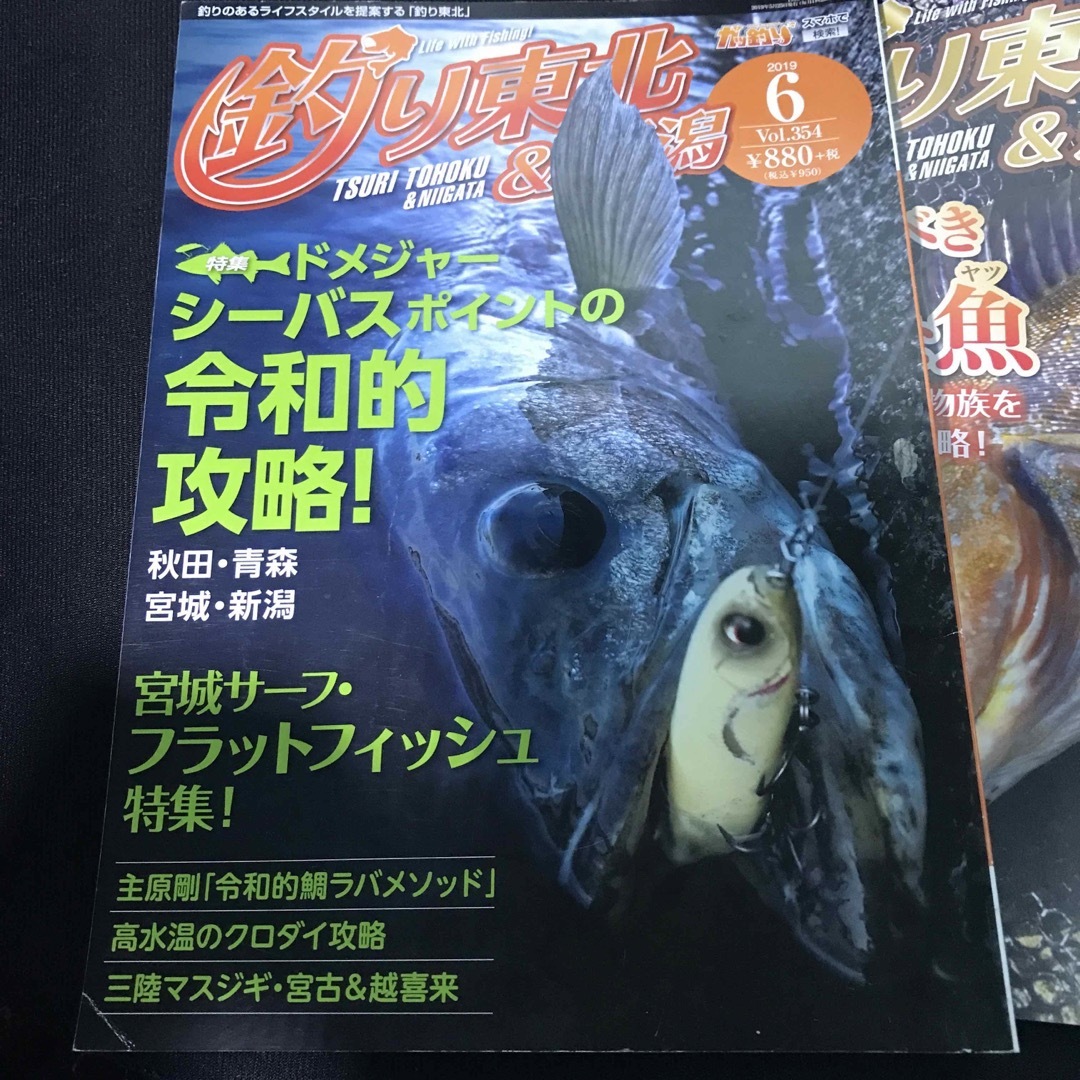 釣り東北&新潟　2019年　6月　12月号 エンタメ/ホビーの本(趣味/スポーツ/実用)の商品写真