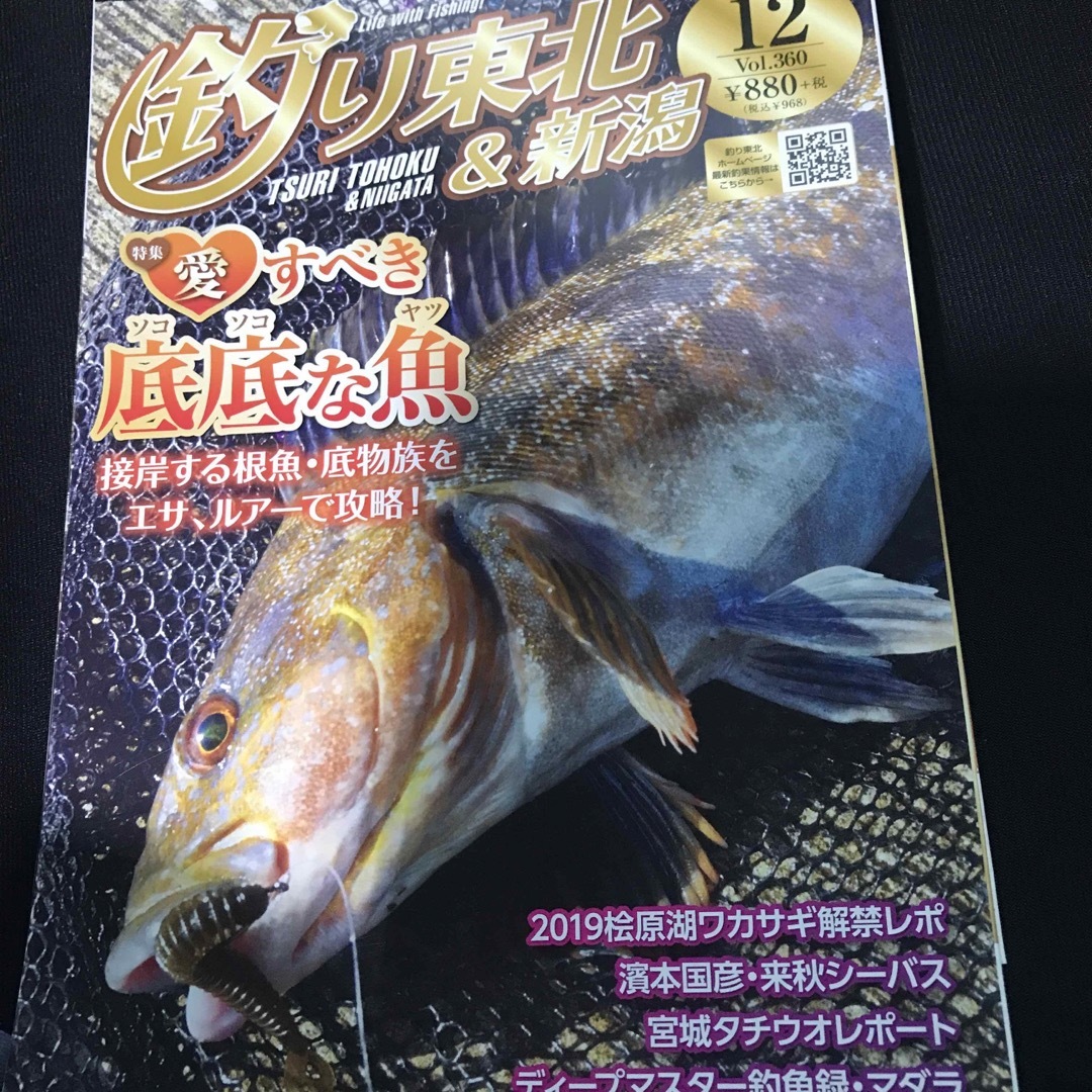 釣り東北&新潟　2019年　6月　12月号 エンタメ/ホビーの本(趣味/スポーツ/実用)の商品写真