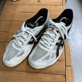 アシックス(asics)のアシックス（asics) バレーボールシューズ ローテジャパン レッド(バレーボール)