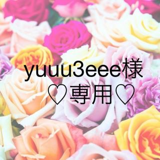 yuuu3eee様♡専用(その他)