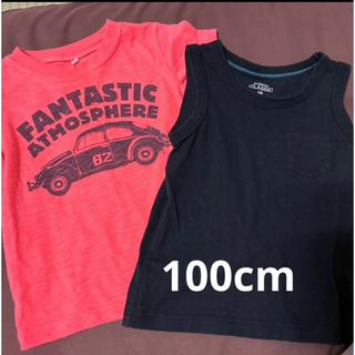 【本日限定セール】Tシャツ 100cm 2枚セット(Tシャツ/カットソー)