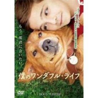 【中古】DVD▼僕のワンダフル・ライフ レンタル落ち(外国映画)