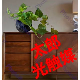 光触媒　人工観葉植物　ウォールグリーン　フェイクグリーン　ポトス花器付(その他)