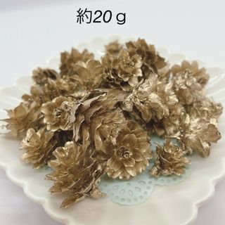 木の実 カラマツゴールド  やく20ｇ(各種パーツ)