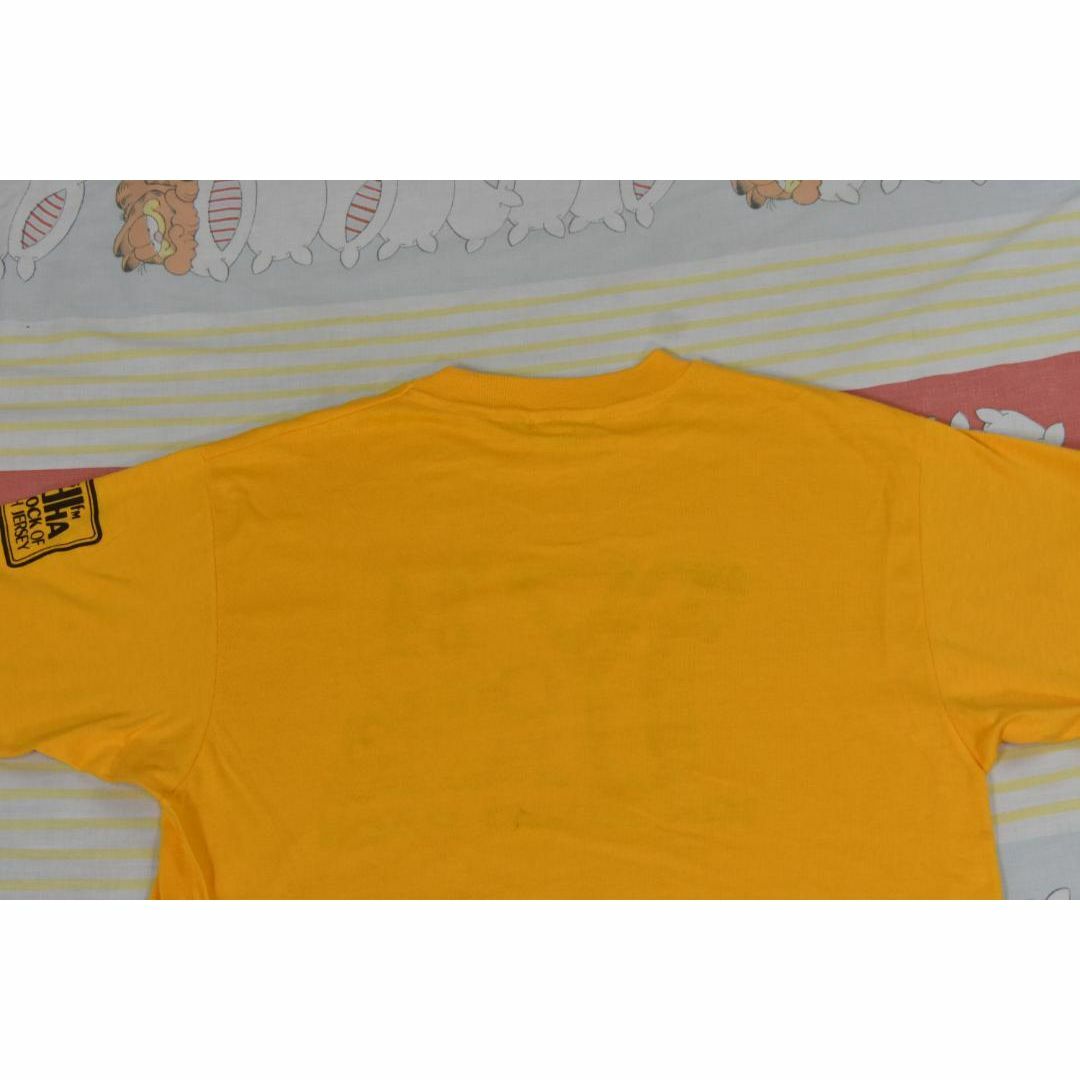 Hanes(ヘインズ)のヘインズ 80’ｓ Tシャツ 14289 USA製 シングルステッチ ビンテージ メンズのトップス(Tシャツ/カットソー(半袖/袖なし))の商品写真