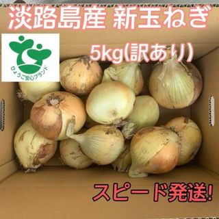 淡路島 新玉ねぎ (5kg) 訳あり(野菜)