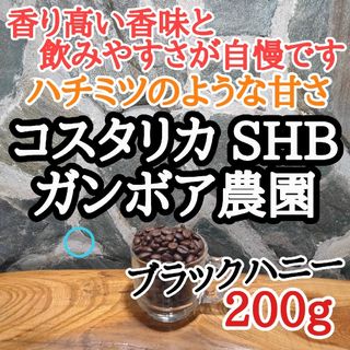 コーヒー豆 注文後焙煎  コスタリカ SHB ブラックハニー 200g 自家焙煎(コーヒー)
