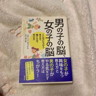 男の子の脳、女の子の脳(文学/小説)