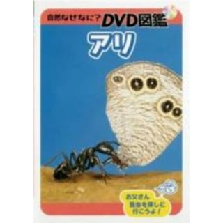 【中古】DVD▼自然なぜなに? DVD図鑑 アリ レンタル落ち(趣味/実用)