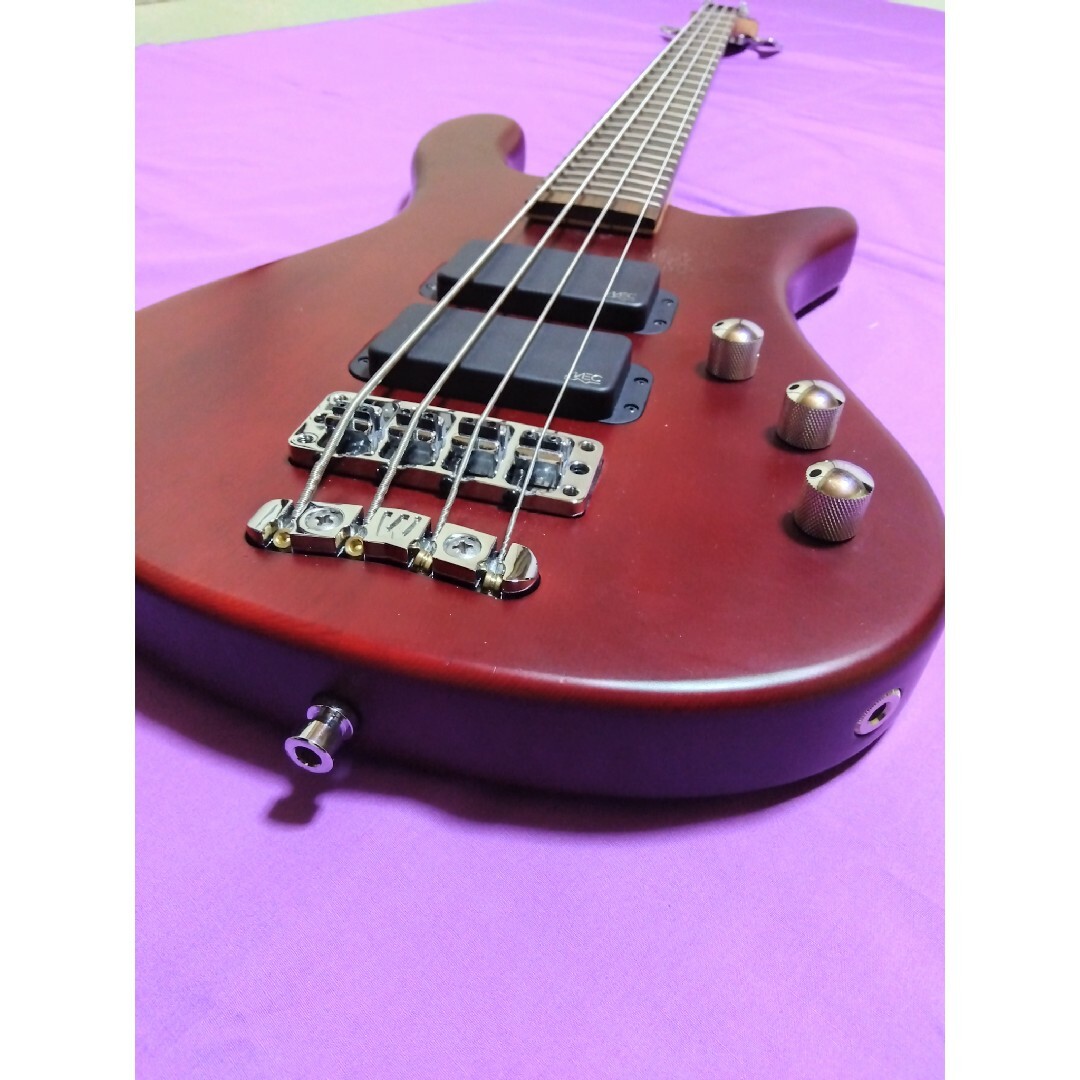 Warwick(ワーウィック)のワーウィック RockBass ストリーマー 楽器のベース(エレキベース)の商品写真