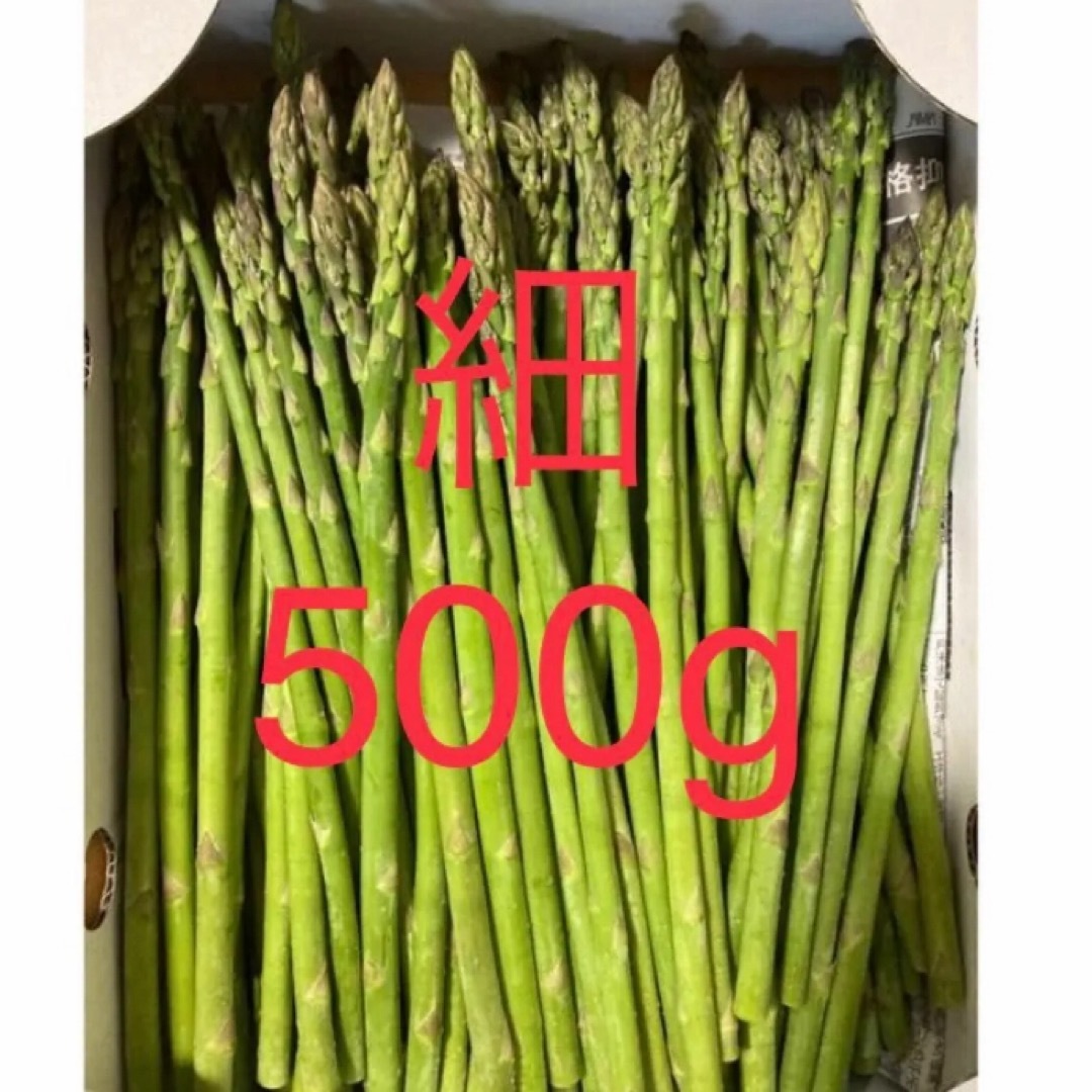 アスパラ　細500g アスパラガス 食品/飲料/酒の食品(野菜)の商品写真