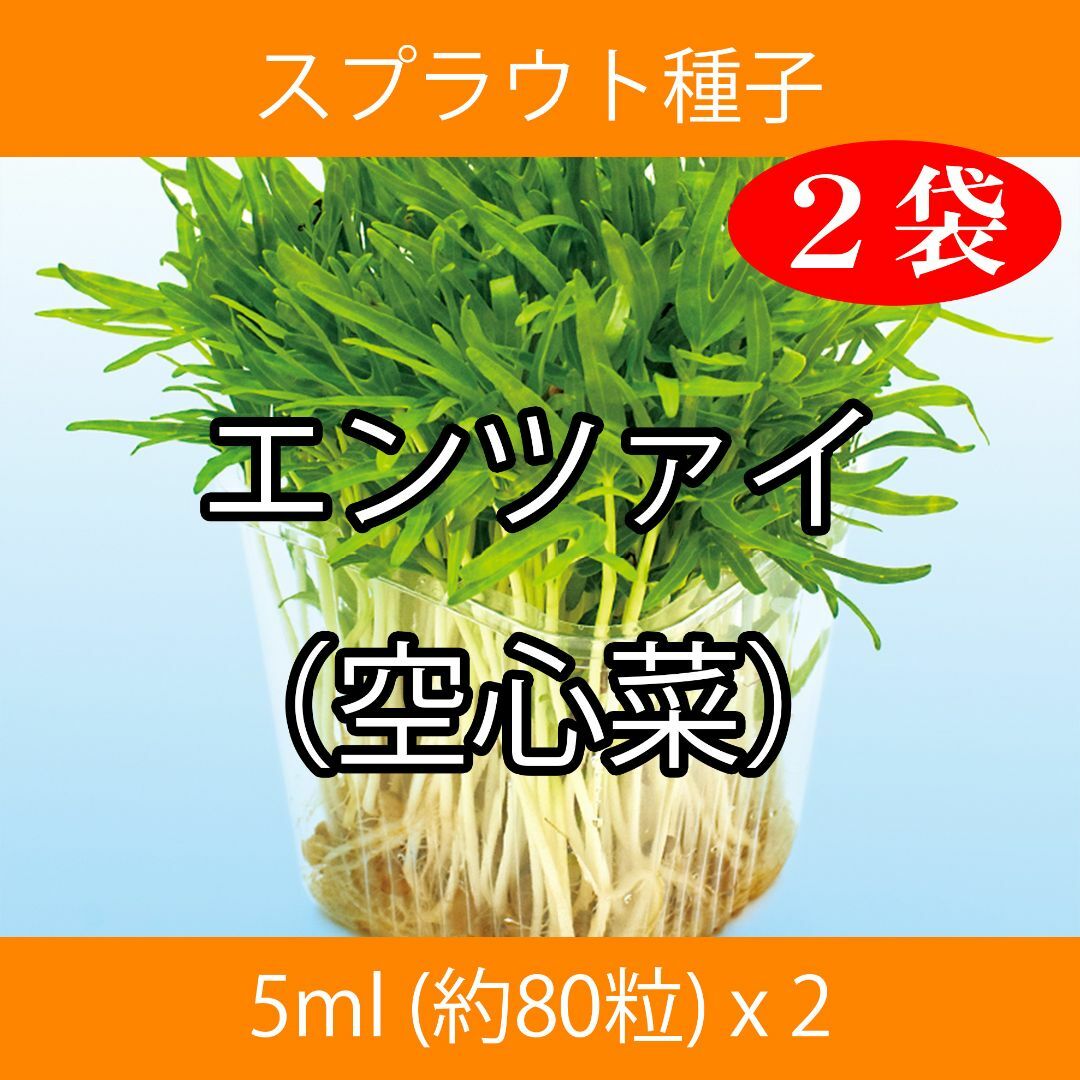 スプラウト種子 S-14 エンツァイ（空心菜） 5ml 約80粒 x 2袋 食品/飲料/酒の食品(野菜)の商品写真