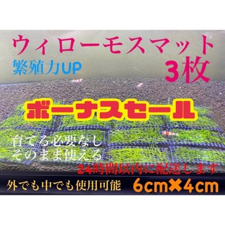 ウィローモス　ウィローモスマット　3枚セット　業者様もご愛用　すぐ使えます。(アクアリウム)