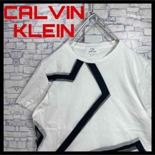 CALVIN KLEIN カルバンクライン　メッシュ　半袖Tシャツ　Mサイズ　白