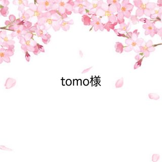 tomo様☆専用ページ(その他)