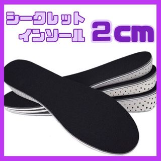 2㎝ シークレットインソール   中敷き 男女兼用 22.5～27cm(スニーカー)