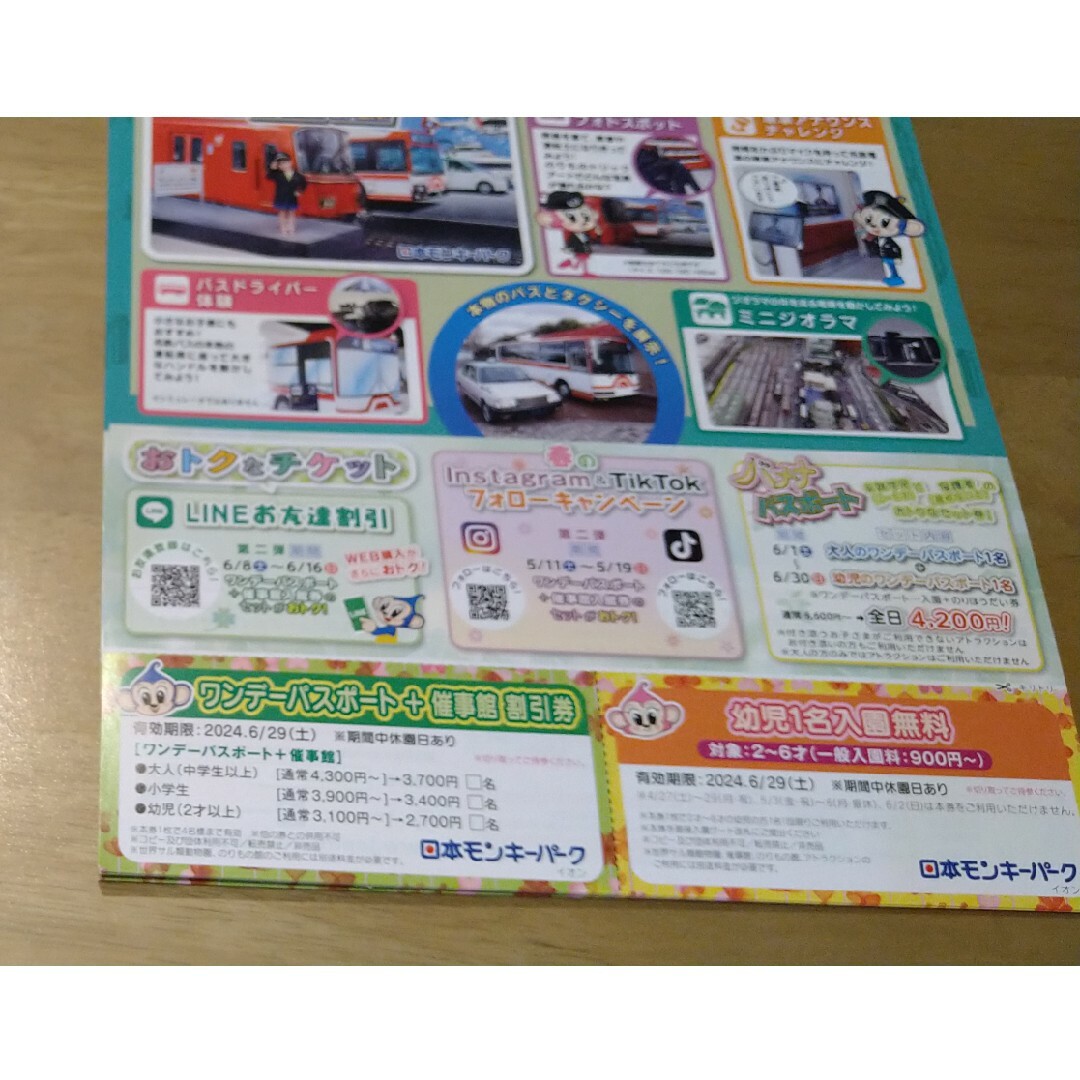 日本モンキーパーク　幼児１名無料券 チケットの優待券/割引券(その他)の商品写真