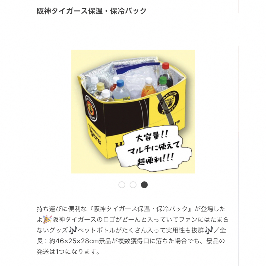 【非売品】阪神タイガース　保温•保冷バッグ　匿名発送 スポーツ/アウトドアのスポーツ/アウトドア その他(その他)の商品写真