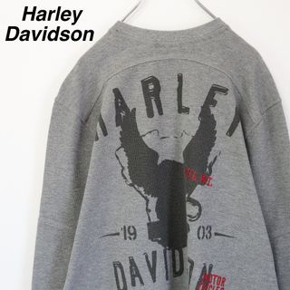 ハーレーダビッドソン(Harley Davidson)の【バックプリント】ハーレーダビッドソン／サーマルカットソー　ヘンリーネック　M(Tシャツ/カットソー(七分/長袖))