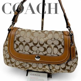 コーチ(COACH)のCOACH コーチ シグネチャー ワンショルダーバッグ F13739(ショルダーバッグ)