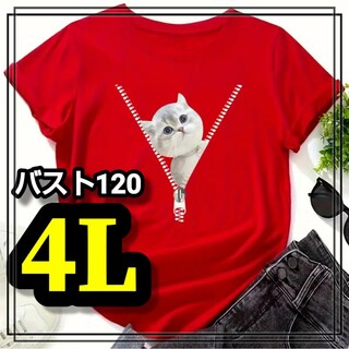 大きいサイズ レディース 半袖 Tシャツ 赤 猫 オーバーサイズ 4L 3L 柄(Tシャツ(半袖/袖なし))