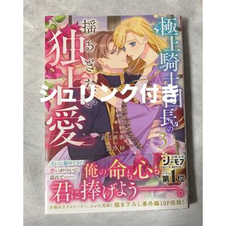 極上騎士団長の揺るぎない独占愛 ３(その他)