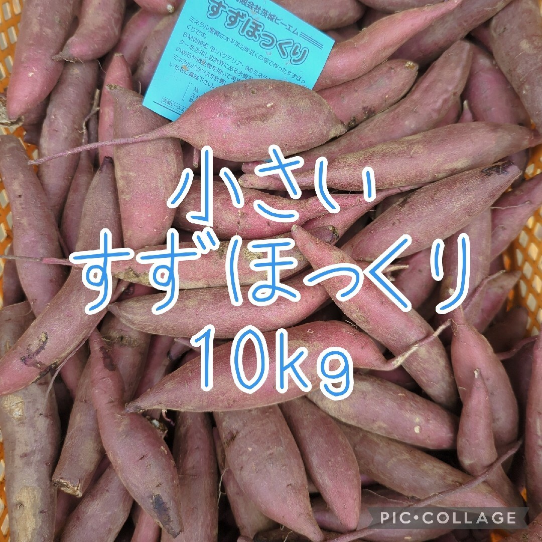 小さいすずほっくり10kg 食品/飲料/酒の食品(野菜)の商品写真