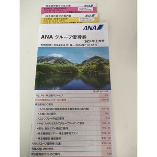 ANA株主優待 グループ優待券(その他)