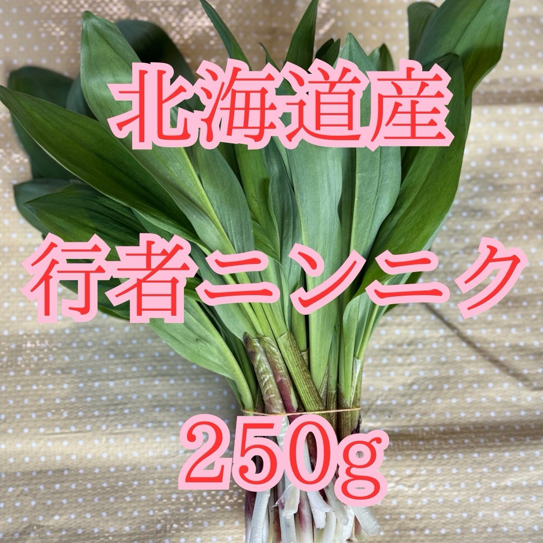 北海道道北産行者ニンニク250g 食品/飲料/酒の食品(野菜)の商品写真