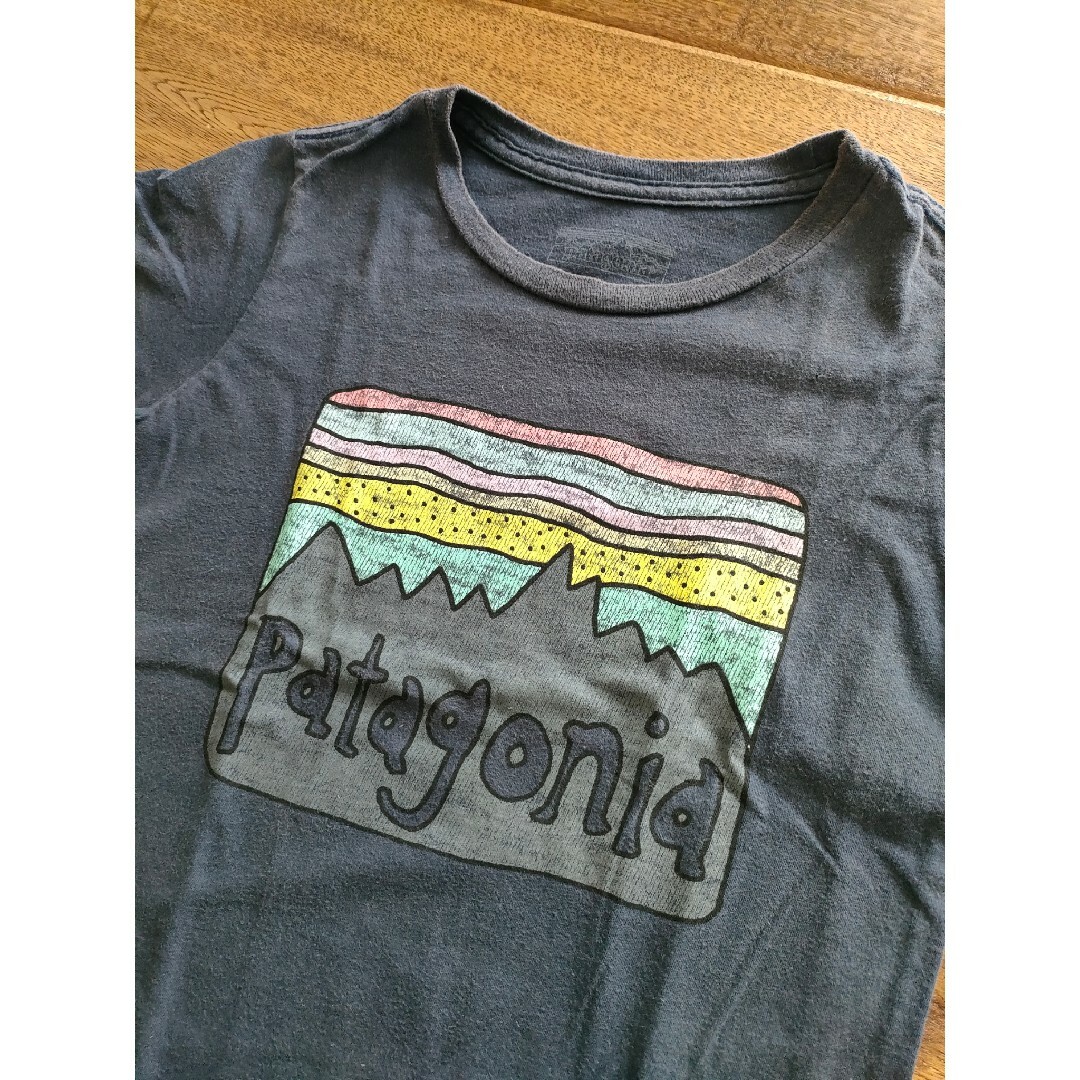 patagonia(パタゴニア)のパタゴニア　イラストプリントＴシャツ　4T キッズ/ベビー/マタニティのキッズ服男の子用(90cm~)(Tシャツ/カットソー)の商品写真