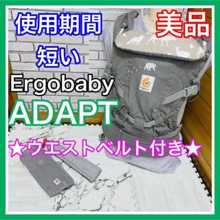 Ergobaby - 使用4ヶ月 美品 エルゴベビー アダプト フォレストフレンズ ウエストベルト付き