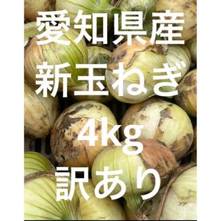 愛知県産　新玉ねぎ　4kg 訳あり(野菜)