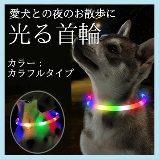 首輪 犬 光る レインボー  散歩 LEDライト USB充電 安全 348(犬)