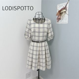 ロディスポット(LODISPOTTO)のロディスポット　1度着用　膝丈　半袖　チェックワンピース　美品(ひざ丈ワンピース)